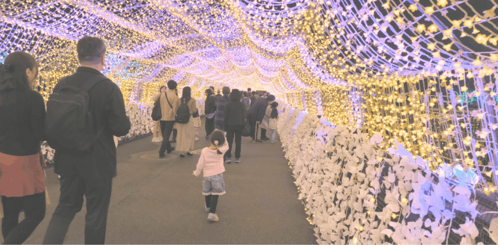 イルミネーション